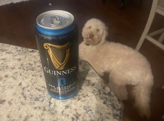 Guiness with my dood Finley in the background